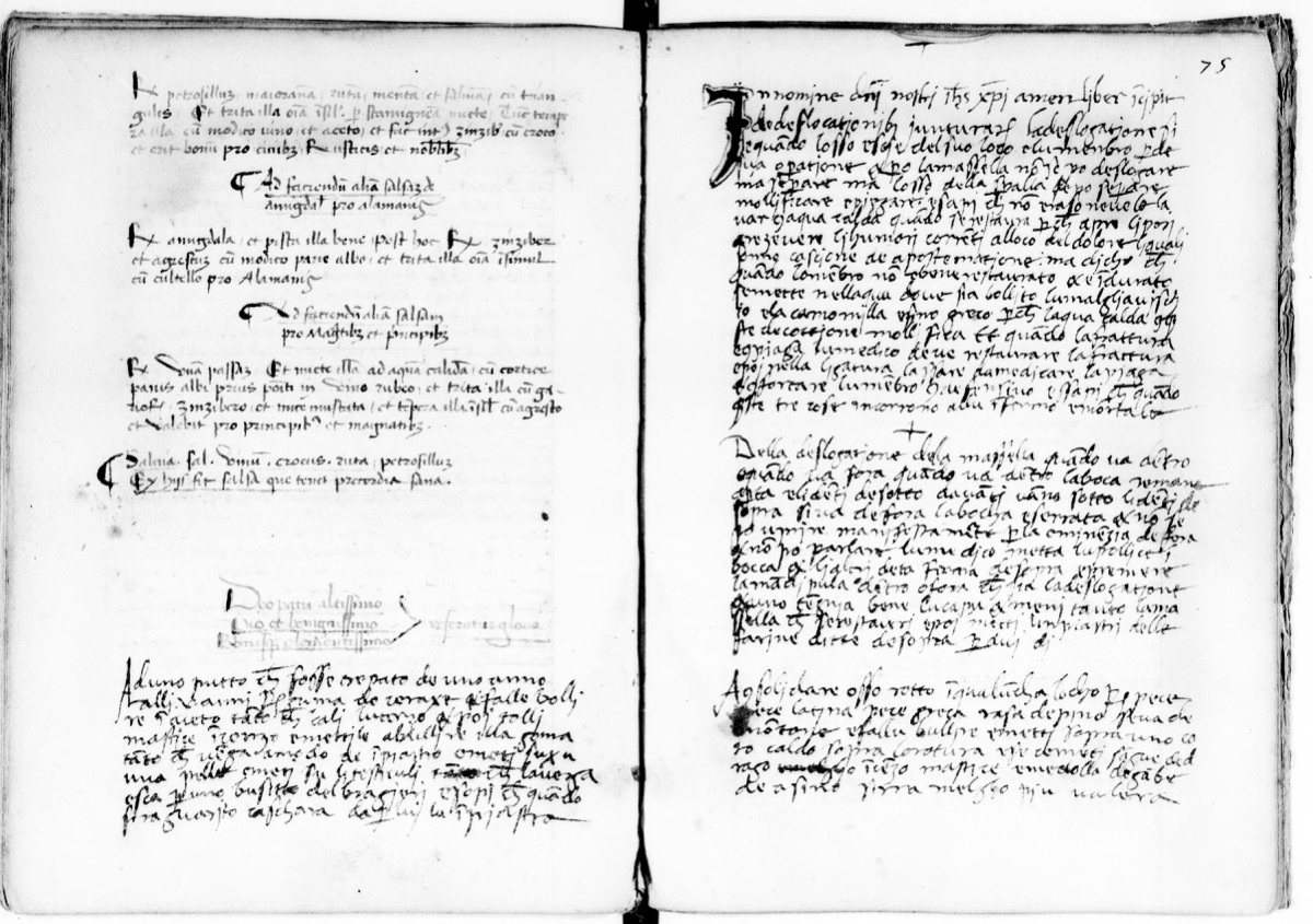 Rosinen-Verjus-Sauce für Fürsten — Originalseite aus Registrum Coquine