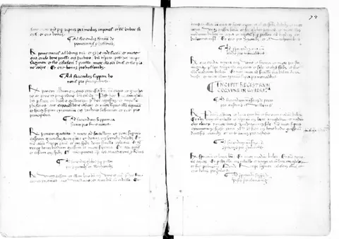 Gekochtes Rebhuhn mit Pfeffer – Originalseite