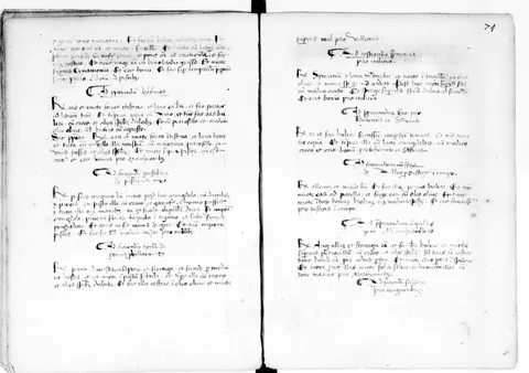 Apfelküchlein nach Bauernart – Originalseite