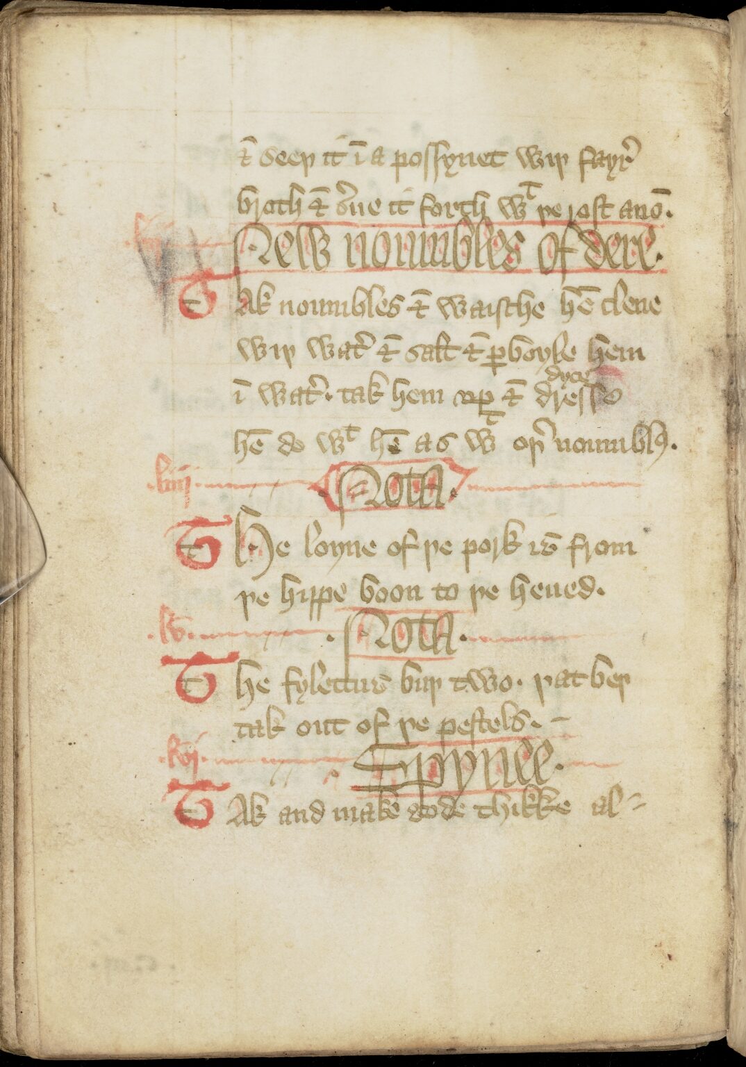 Neue Hirschinnereien — Originalseite aus The Forme of Cury