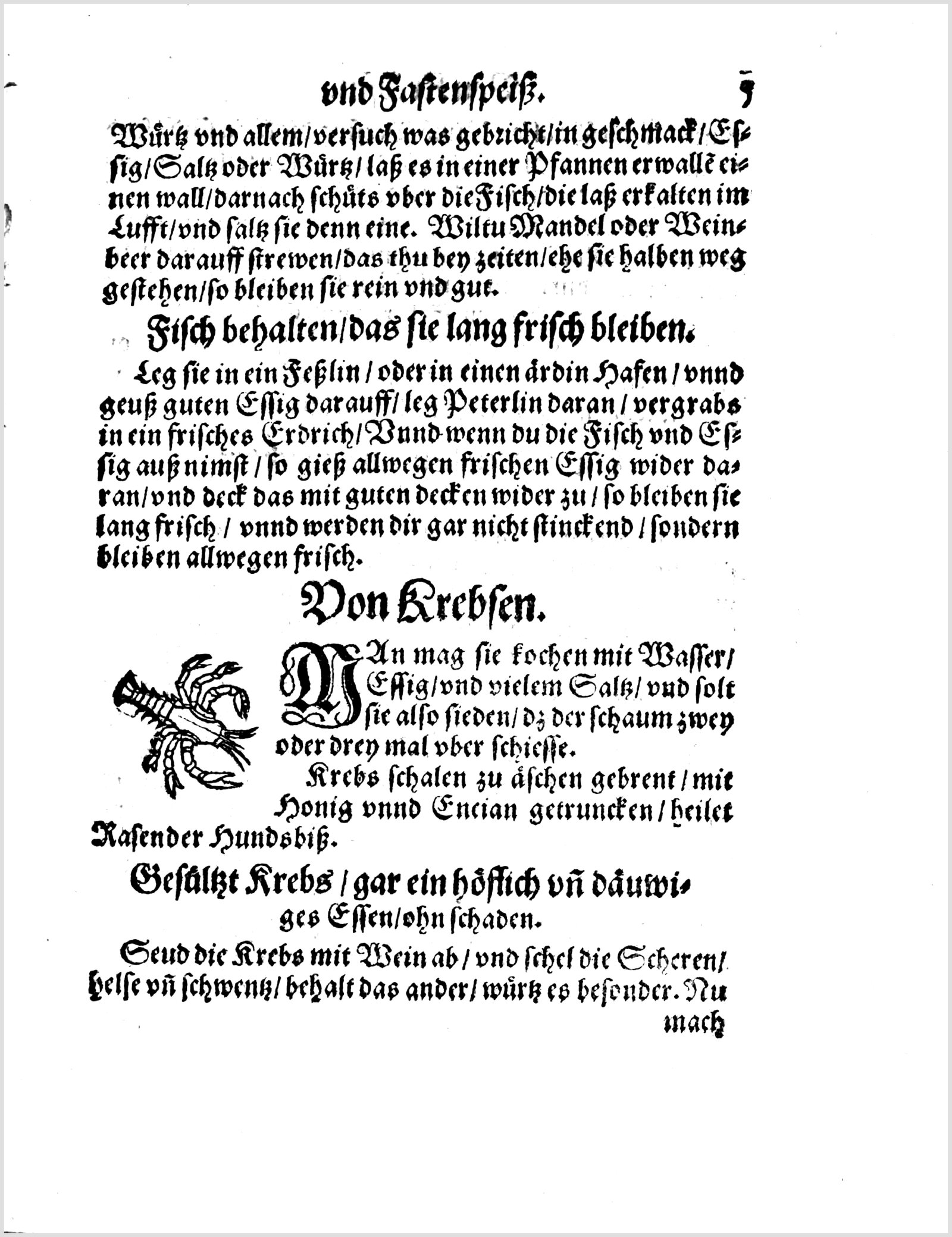 Gesülzter Fisch für den Sommer — Originalseite aus Koch und Kellermeisterei