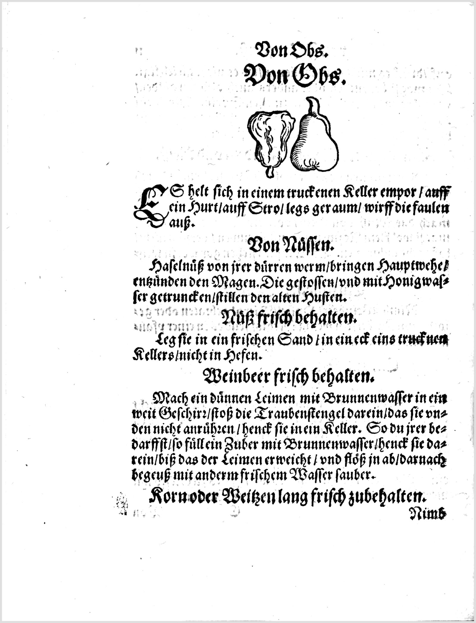 Haselnuss-Heilmittel gegen Husten — Originalseite aus Koch und Kellermeisterei