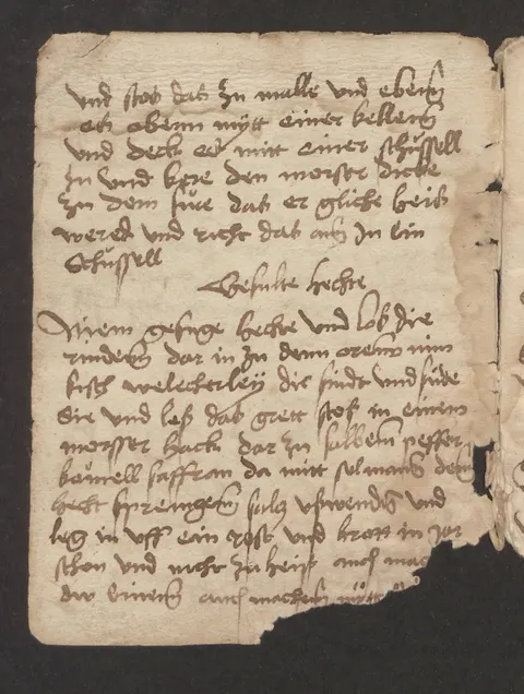 Gefüllter Hecht vom Rost – Originalseite