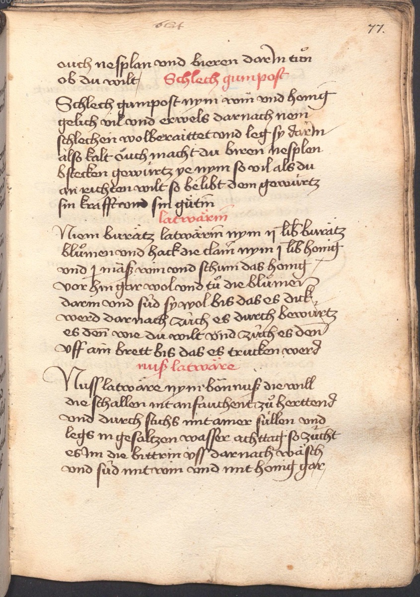 Eingelegte grüne Walnüsse in Honig-Wein-Sud - Originalseite aus Münchner Kochbuchhandschriften (Cgm 384)