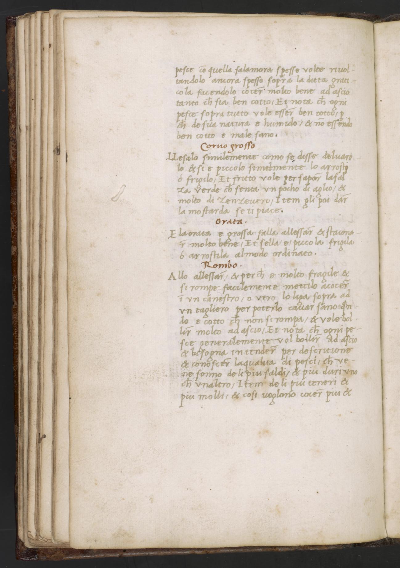 Wolfsbarsch: Gekocht, gebraten oder gegrillt — Originalseite aus Libro de Arte Coquinaria