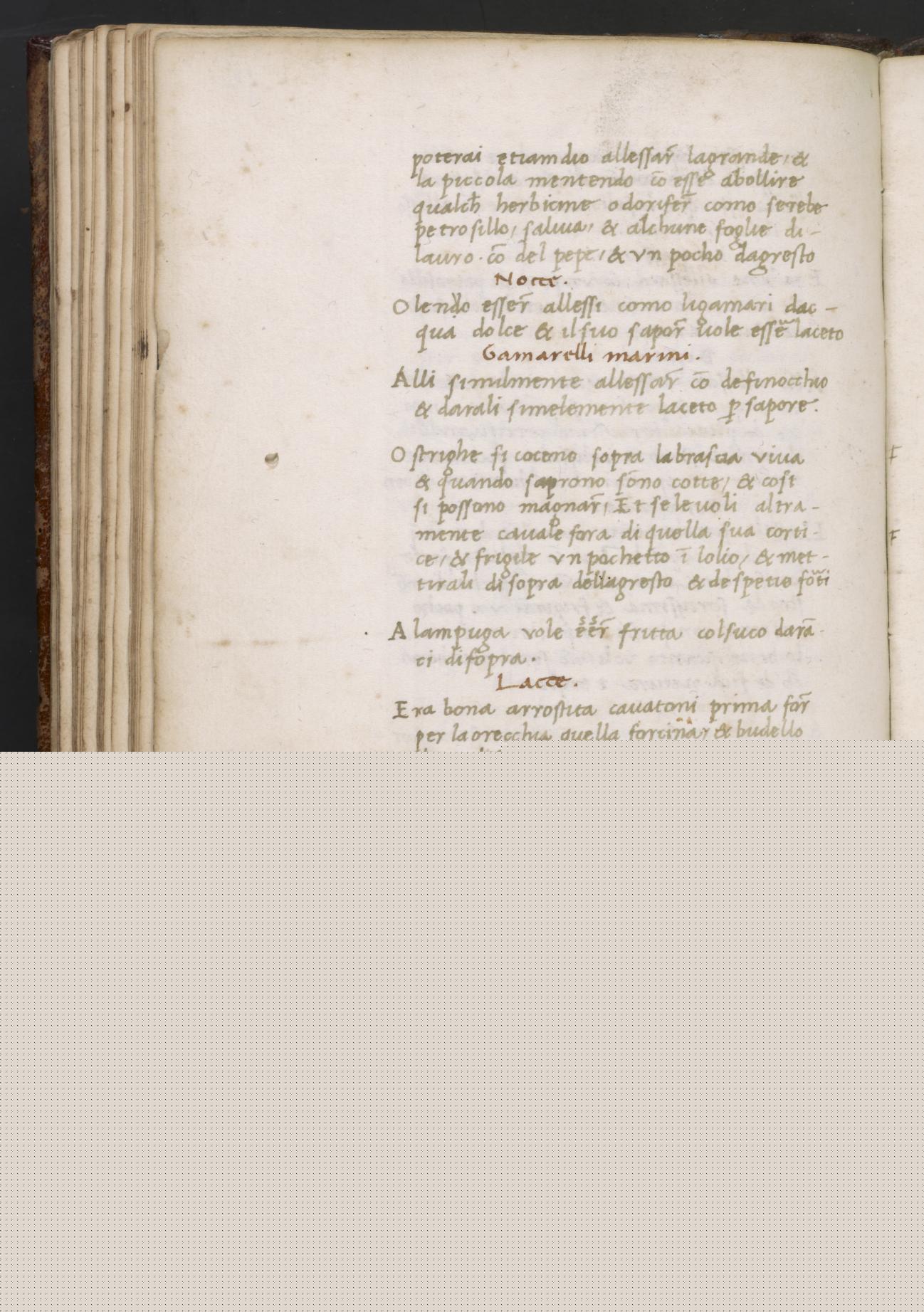 Skorpionfisch: Sieden oder Braten — Originalseite aus Libro de Arte Coquinaria