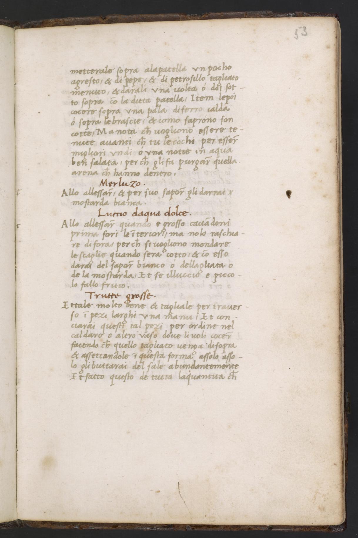 Sorghum gebraten oder geröstet — Originalseite aus Libro de Arte Coquinaria