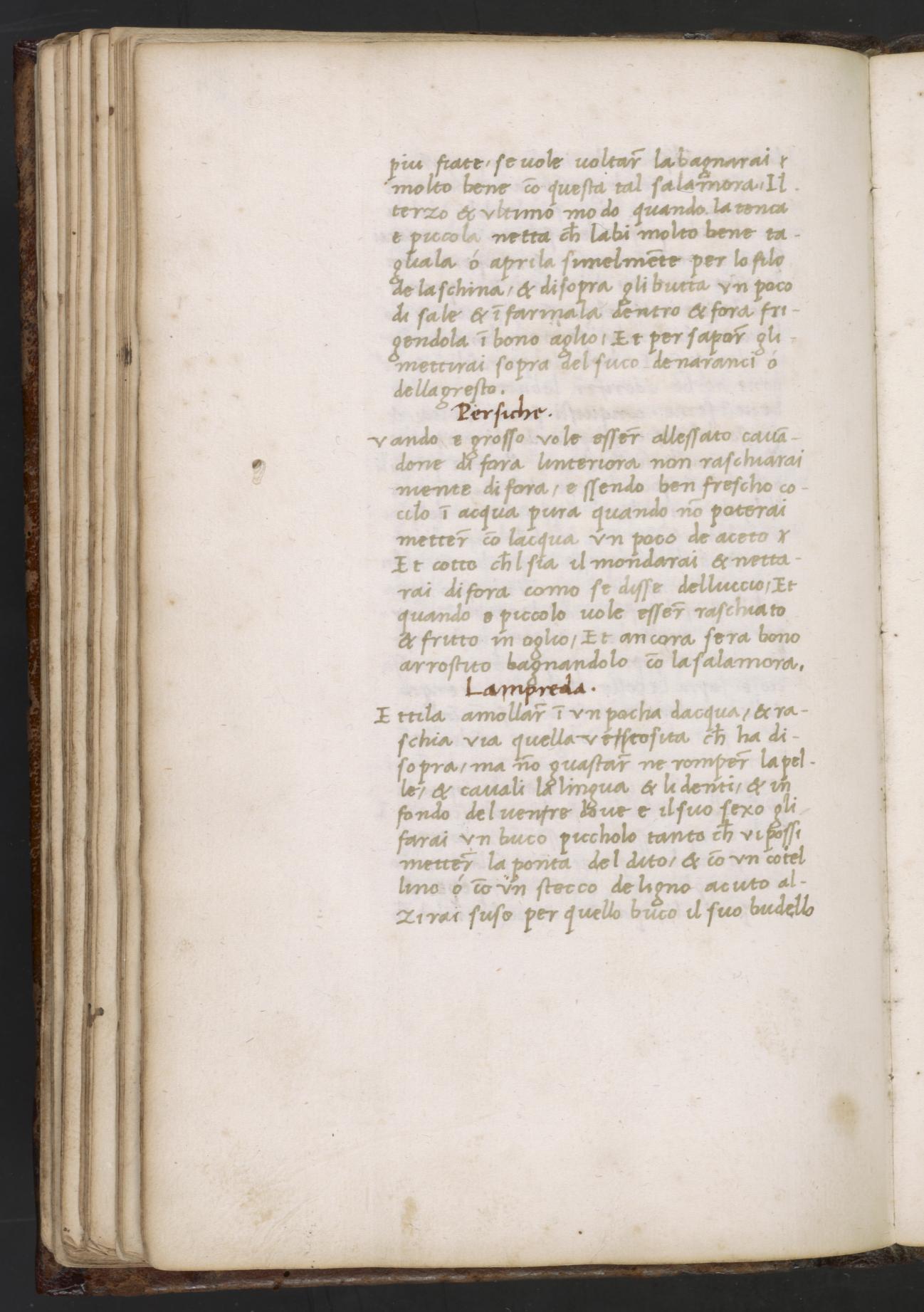 Gerösteter, gebratener oder gesottener Aal — Originalseite aus Libro de Arte Coquinaria