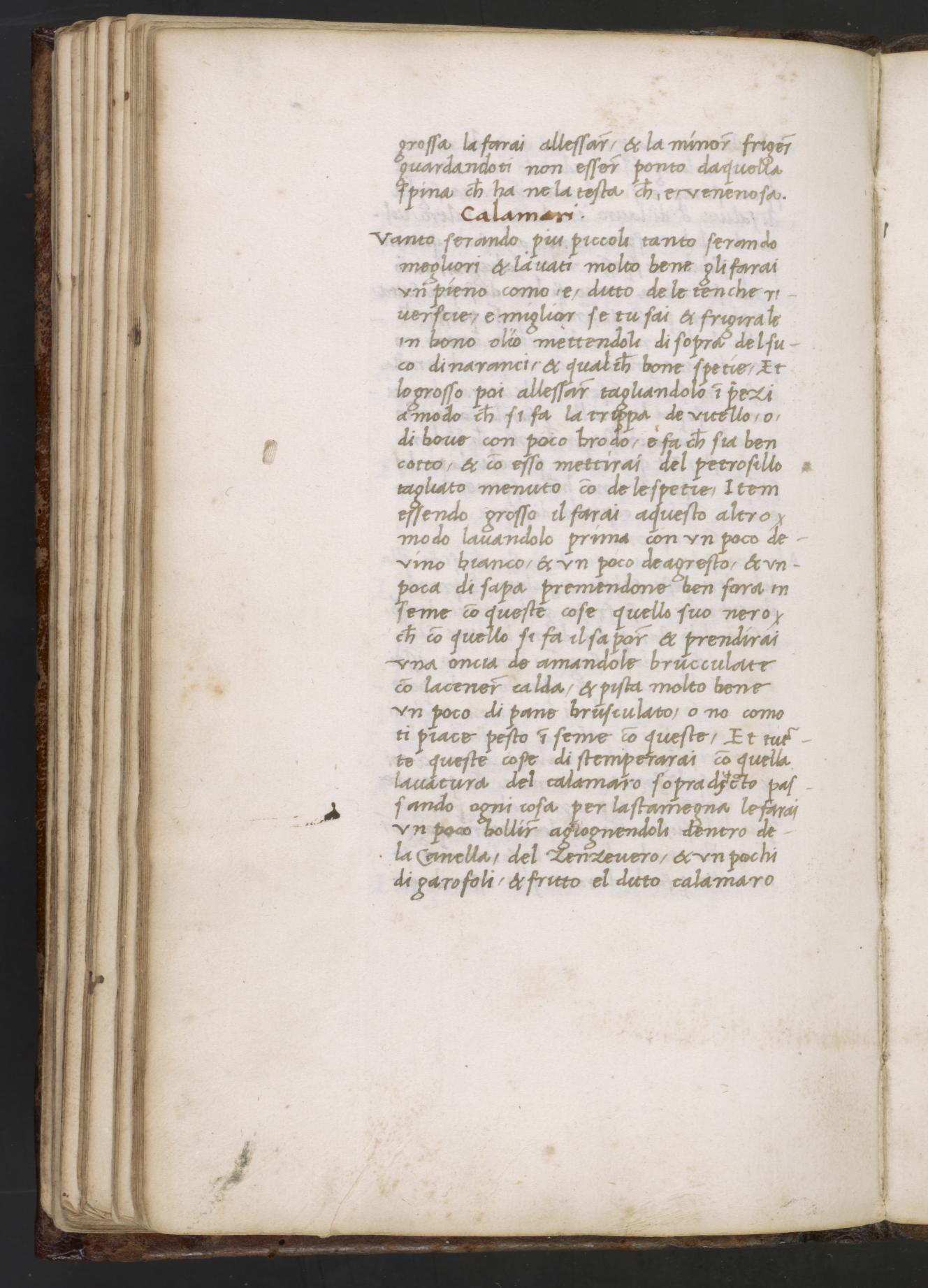 Rotfeder nach Belieben — Originalseite aus Libro de Arte Coquinaria