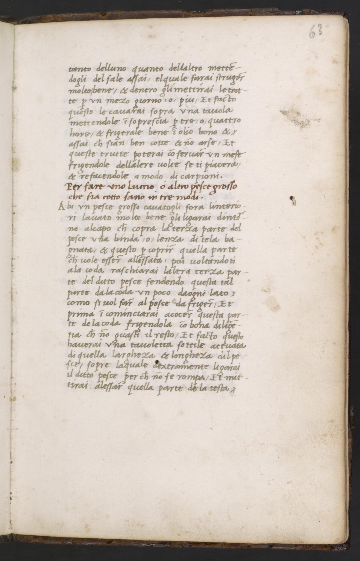 Gesalzener Süßwasserfisch zubereiten — Originalseite aus Libro de Arte Coquinaria