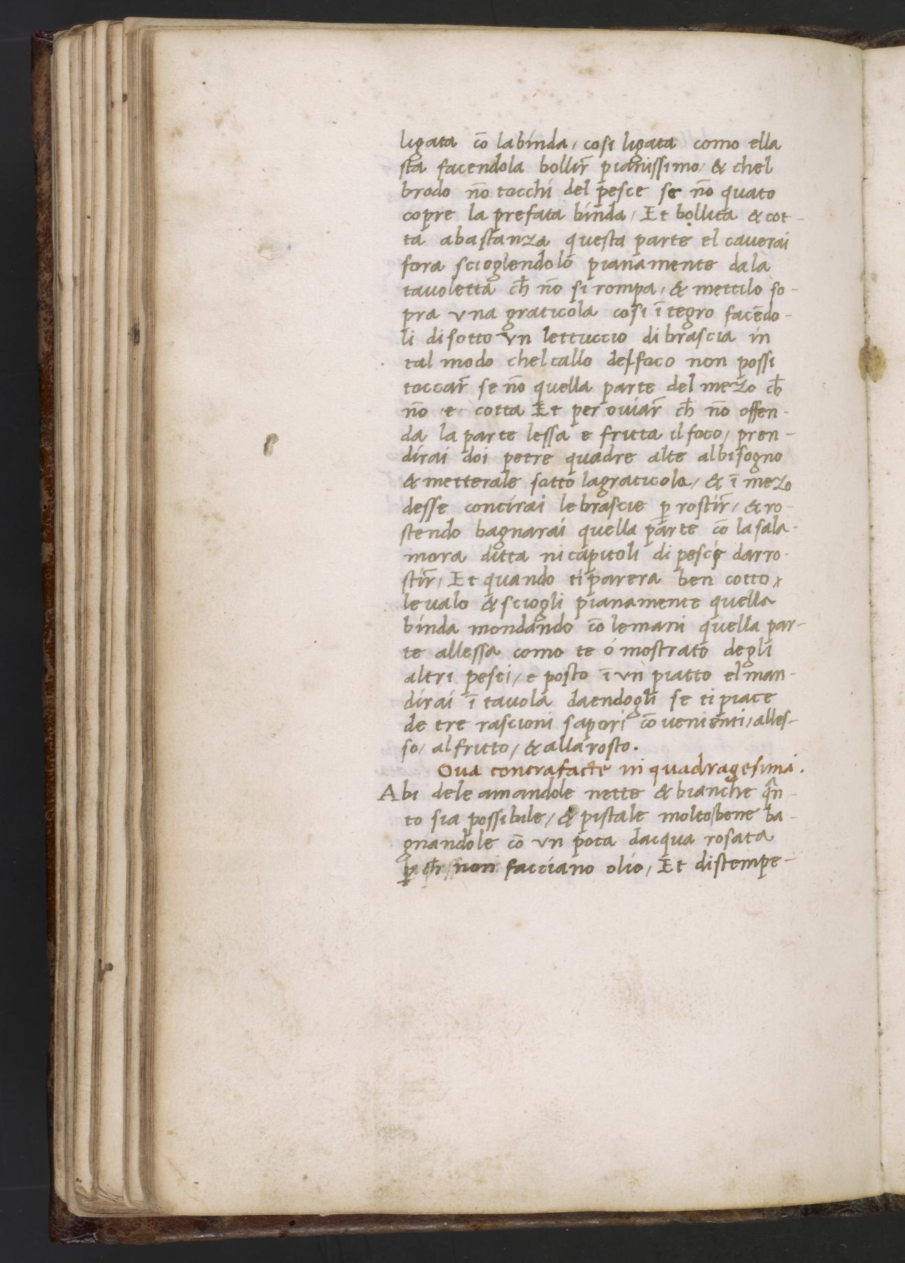 Bottarga herstellen und servieren — Originalseite aus Libro de Arte Coquinaria