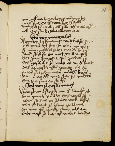 Falsche Morcheln aus Rosinen und Mandeln – Originalseite