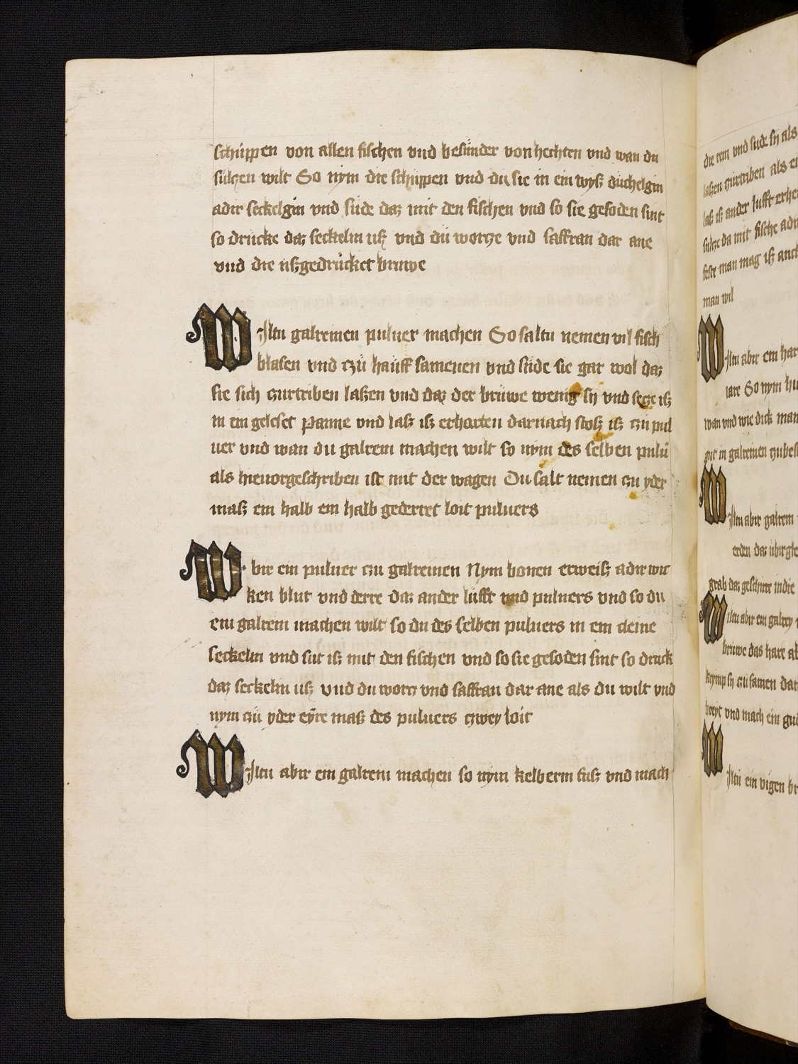 Gelatine-Pulver aus Fischblasen - die Hausenblase auf Vorrat - Originalseite aus Rheinfränkisches Kochbuch