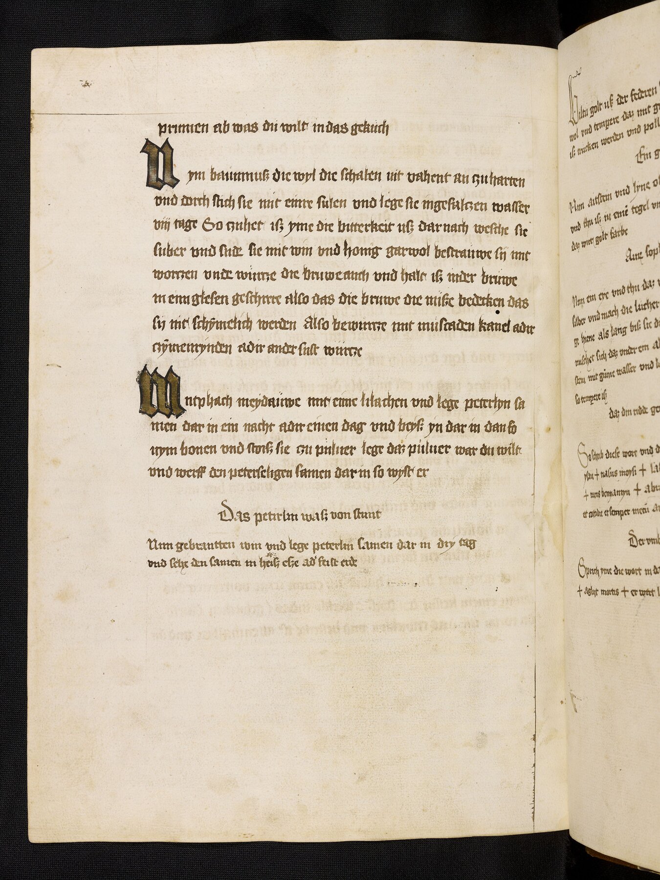 Maitau-Trick: Petersilie schnell zum Keimen bringen - Originalseite aus Rheinfränkisches Kochbuch