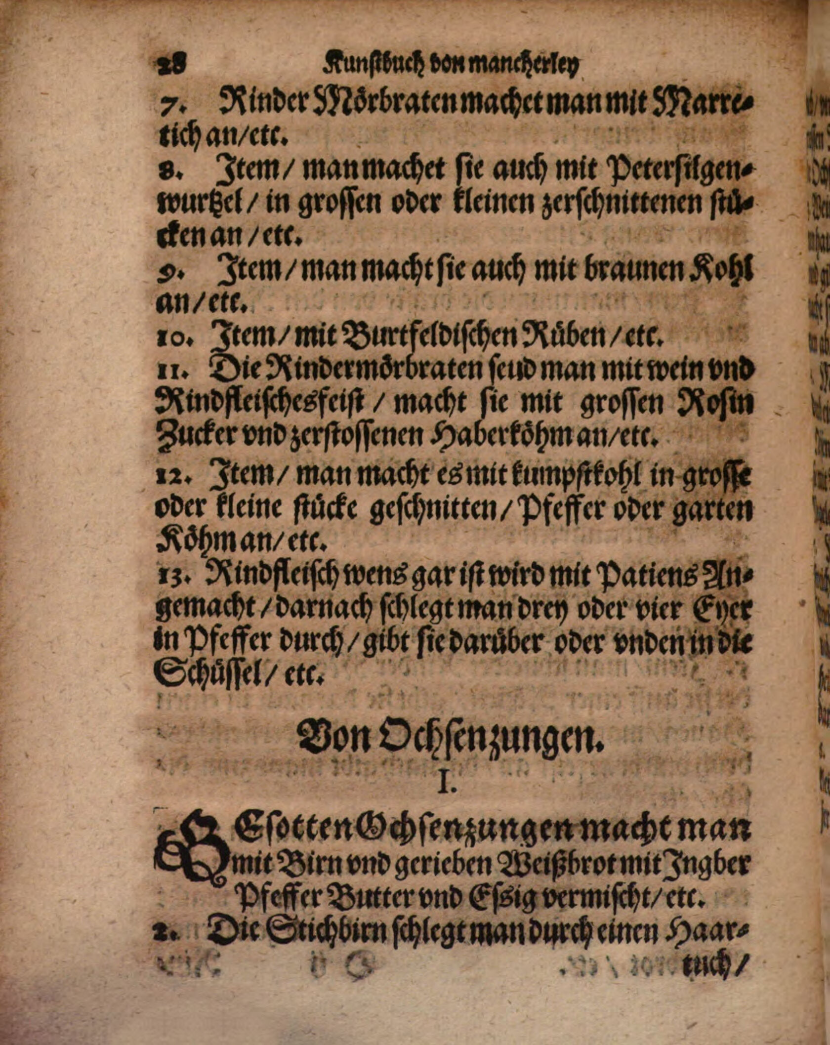 Rinderlende mit Weißkohl und Pfeffer oder Gartenkümmel – Originalseite aus Kunstbuch von mancherley Essen