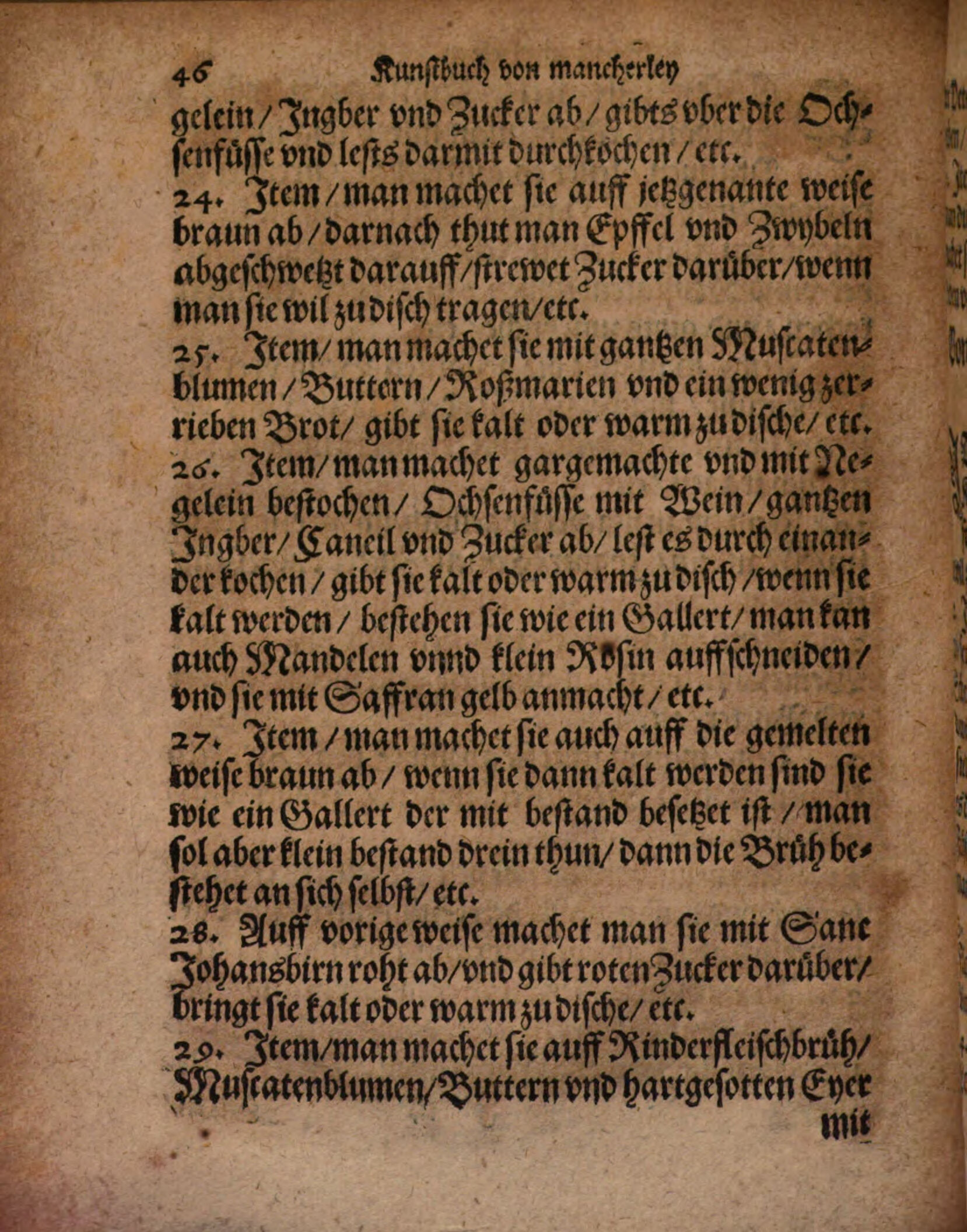 Braune Füße als Gallert – Originalseite aus Kunstbuch von mancherley Essen