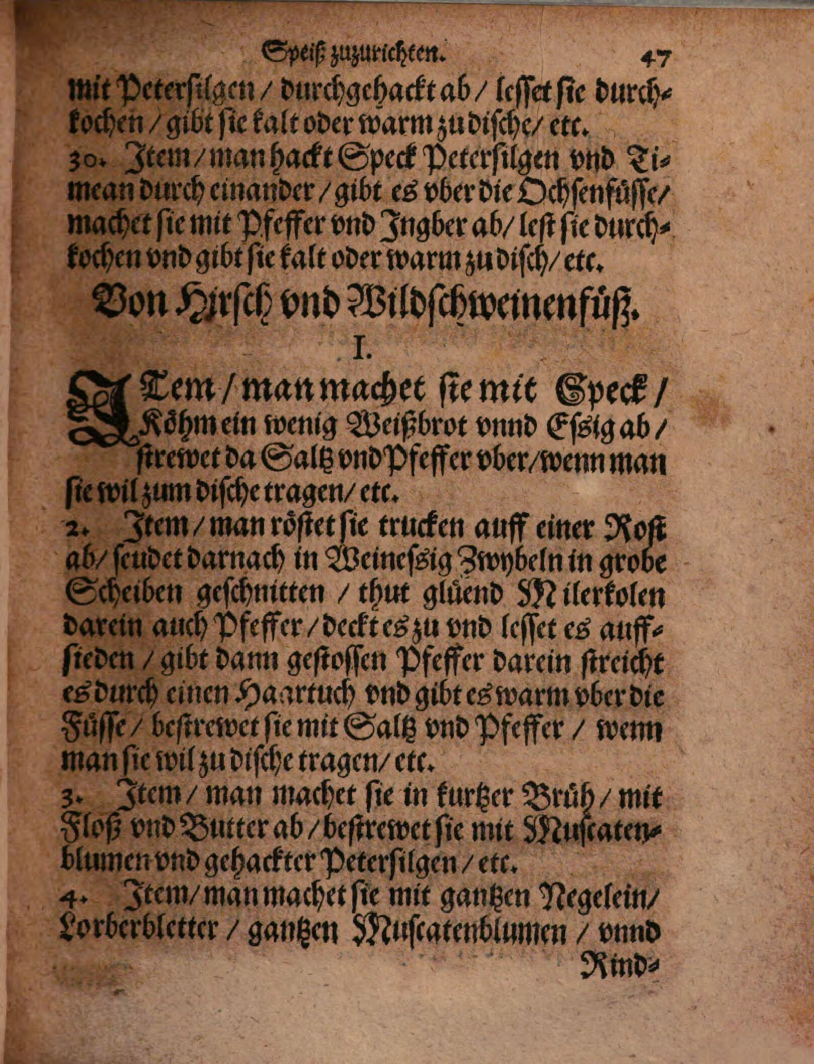 Hirsch- und Wildschweinfüße in kurzer Brühe mit Rahm und Petersilie – Originalseite aus Kunstbuch von mancherley Essen