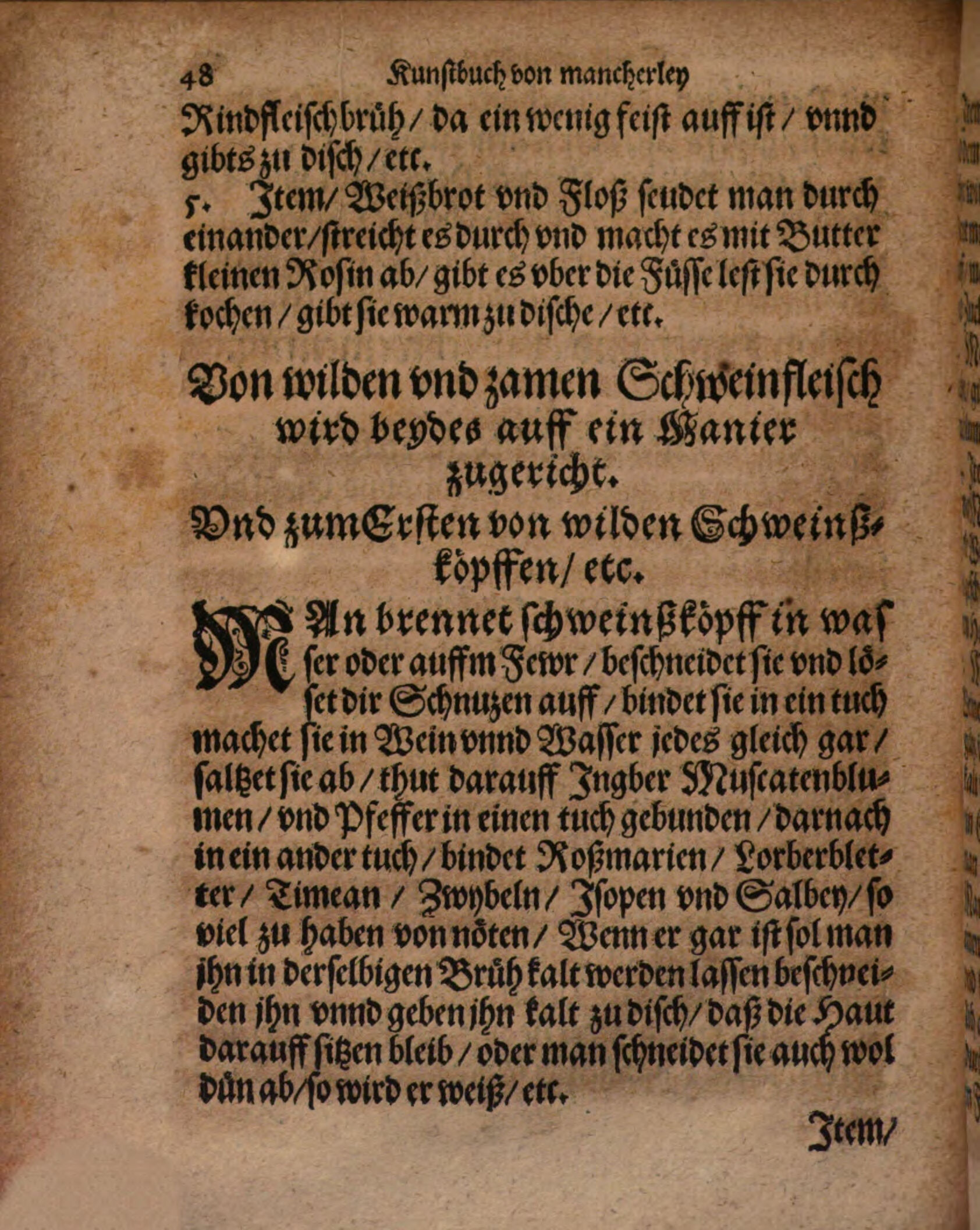 Kalter Wildschweinskopf aus dem Wein-Kräutersud – Originalseite aus Kunstbuch von mancherley Essen
