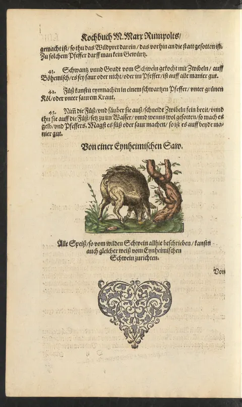 Wildschweinschwanz und -rückgrat, böhmisch mit Zwiebeln oder in Pfeffersauce – Originalseite