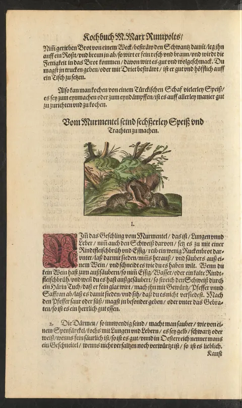 Murmeltier-Lunge und -Leber in Blut-Pfeffersauce – Originalseite