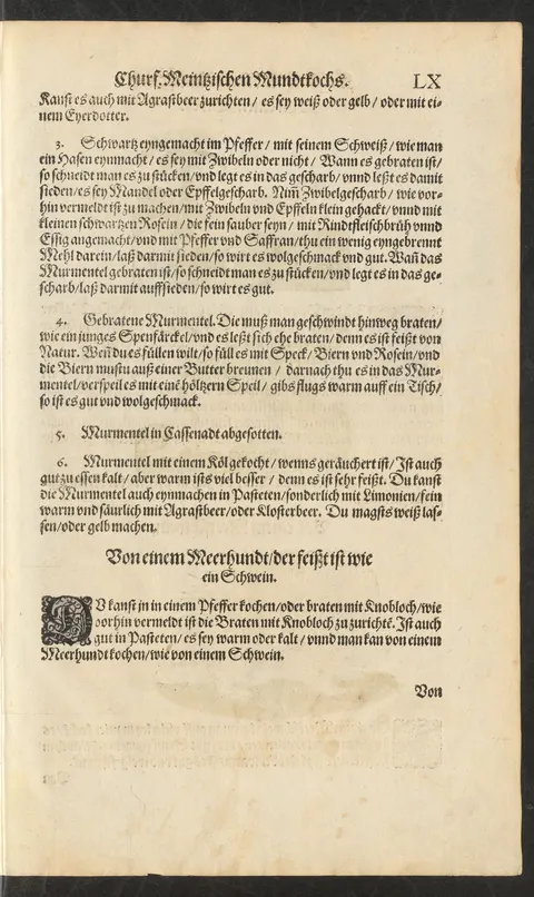 Murmeltier schwarz in Blut-Pfeffersauce oder gebraten im Zwiebel-Apfel-Gescharb – Originalseite