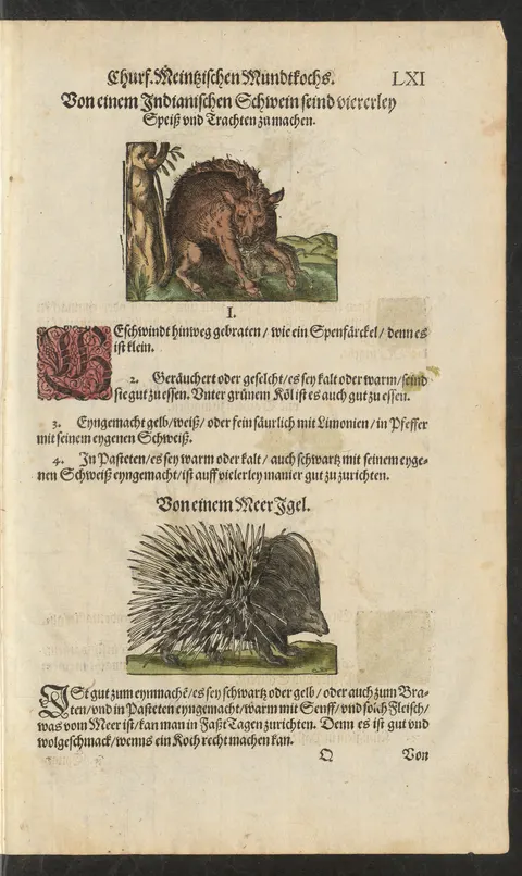 Indianisches Schwein, rasch gebraten – Originalseite