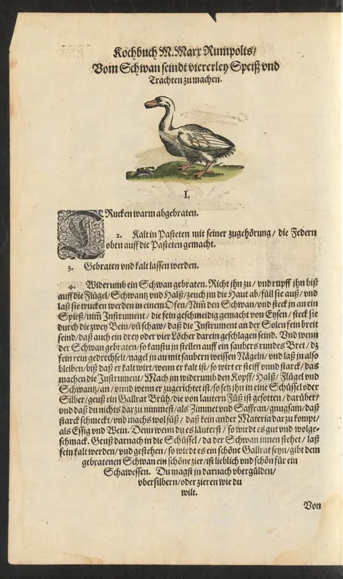 Gebratener Schwan, kalt gelassen – Originalseite