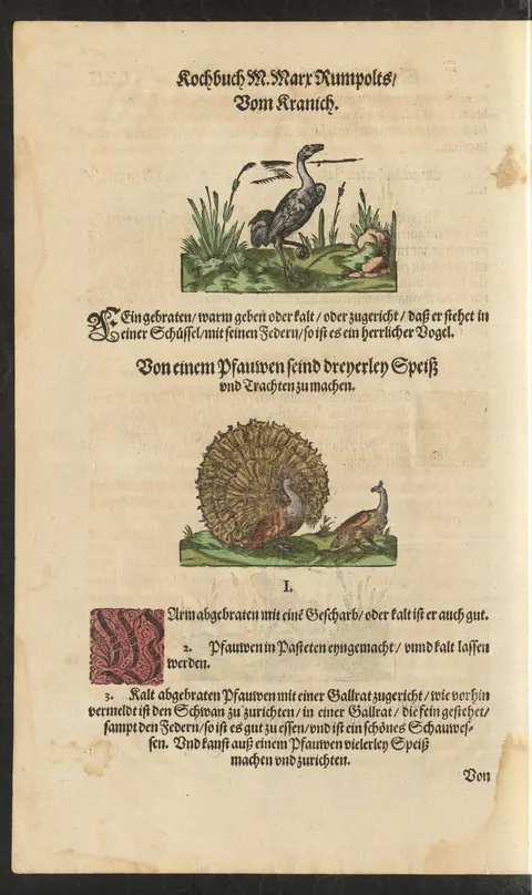 Kalter gebratener Pfau in Gallerte – Originalseite