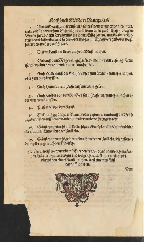 Wildgans-Lebermus – Originalseite