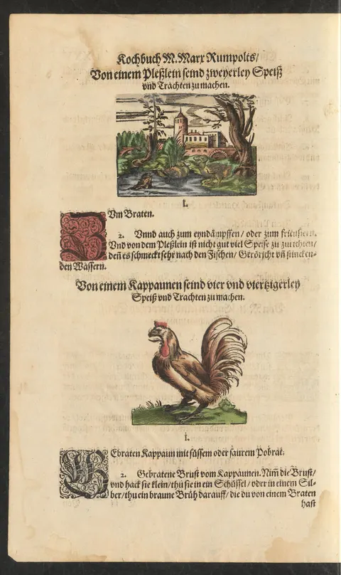 Pleßlein (wohl Blässhuhn) zum Braten – Originalseite