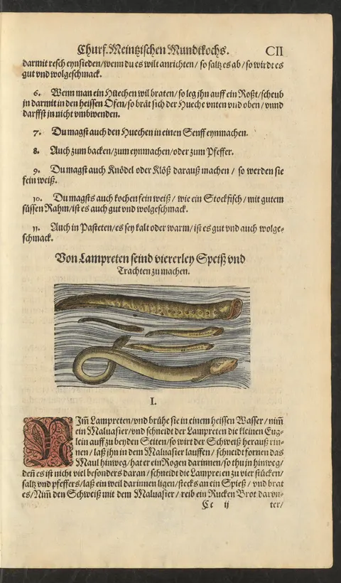 Gebratener Huchen im Ofen – Originalseite