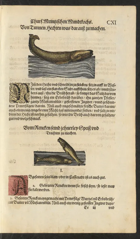 Renke, abgesotten, blau oder in Cassenadt – Originalseite