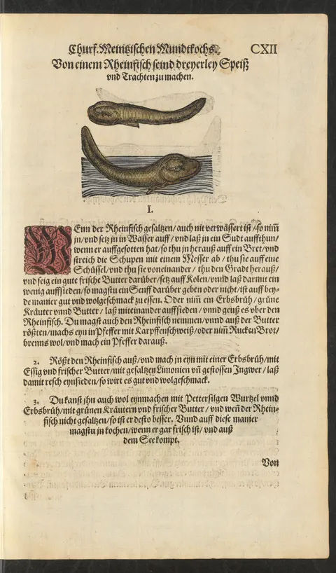 Frischer Rheinfisch in Erbsenbrühe mit Petersilienwurzel und Kräutern – Originalseite