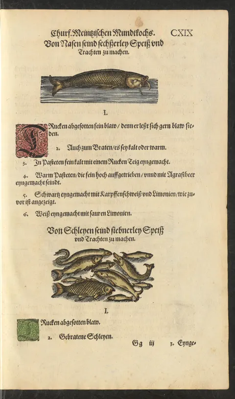 Nase, schwarz mit Karpfenblut und Zitronen zubereitet – Originalseite