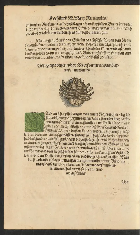 Kabeljau-Kopffleisch in aufgezogener Pastete mit Verjus – Originalseite