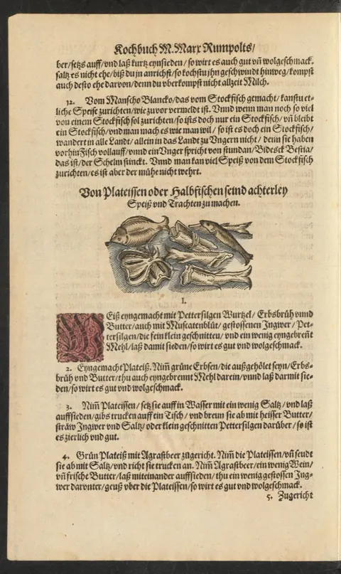Stockfisch bleibt Stockfisch: Schlussbemerkung zum Stockfisch-Kapitel – Originalseite