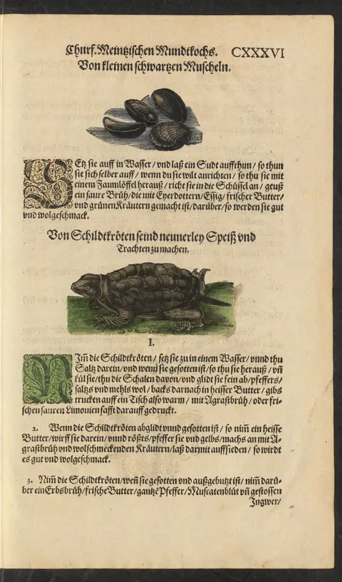 Schildkröten in Erbsenbrühe mit Petersilienwurzel und Muskatblüte – Originalseite