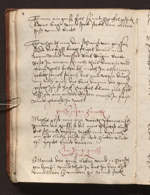 Gefüllte Gans am Spieß – Originalseite