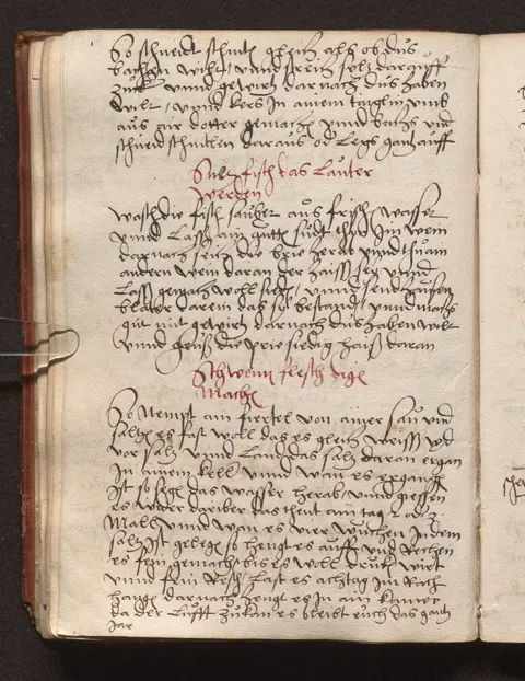 Klarer Sülzfisch in Wein-Gelee – Originalseite