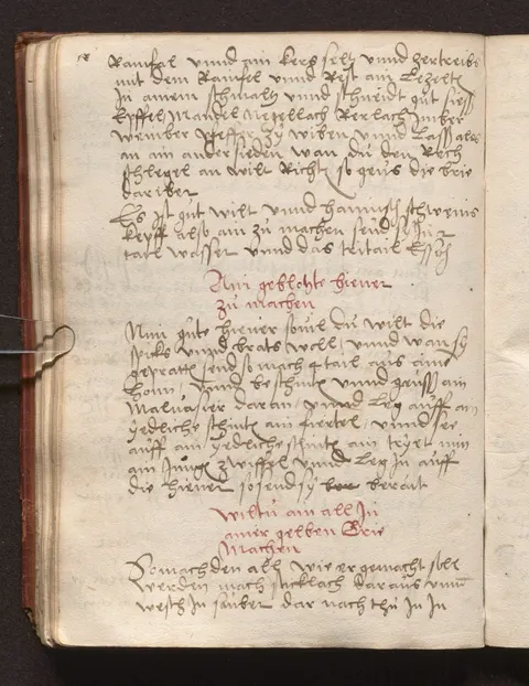 Aal in gelber Weinbrühe – Originalseite