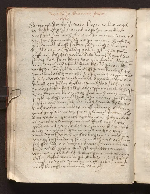 Blancmanger vom Kapaun (Blomenschir) – Originalseite