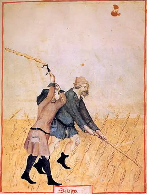 Gefüllte Hühnerknochen mit Sauce – Originalseite
