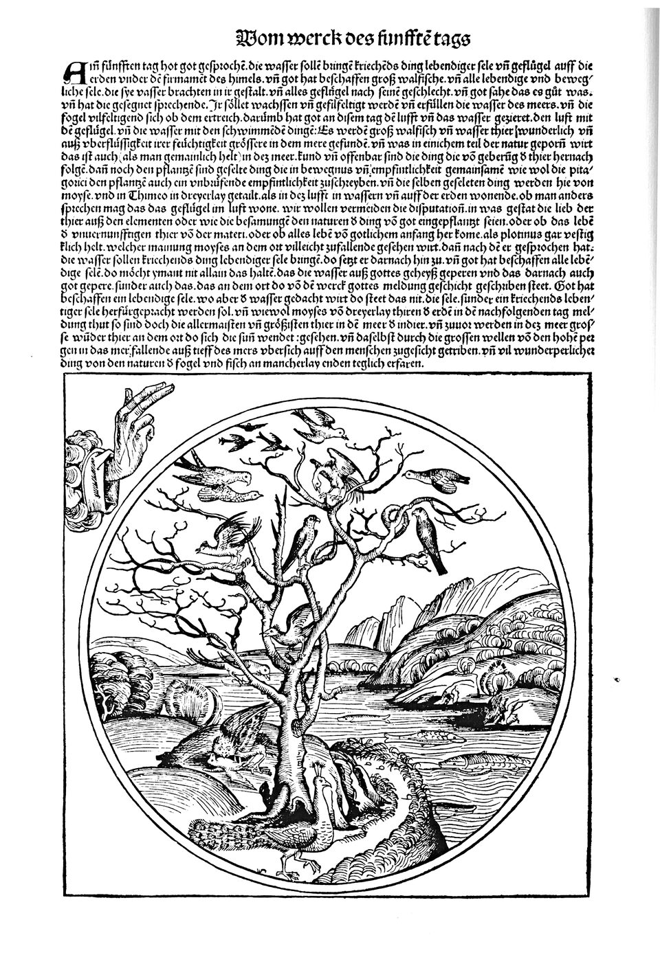 Schedelsche Weltchronik Blatt 5, linke Seite