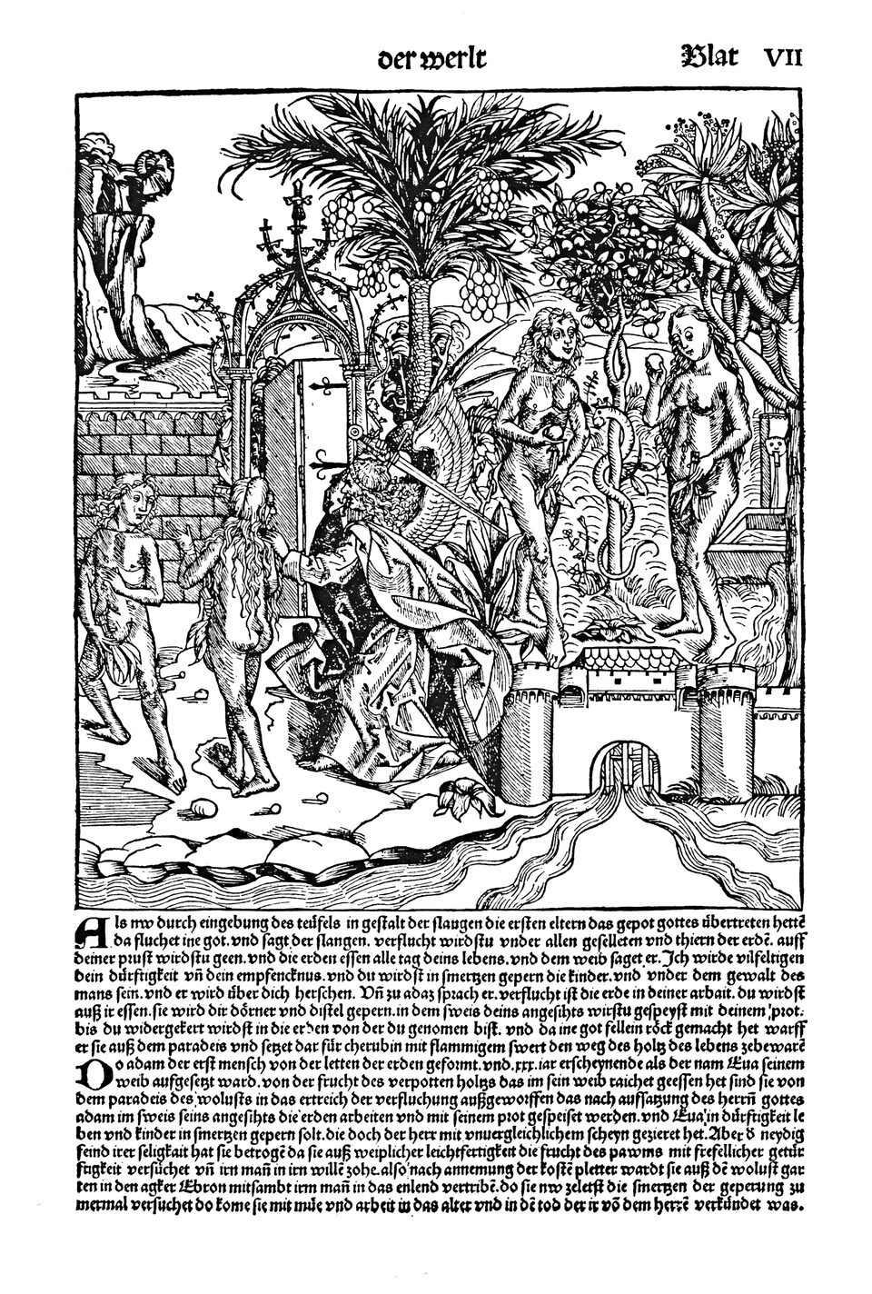 Schedelsche Weltchronik Blatt 7, rechte Seite