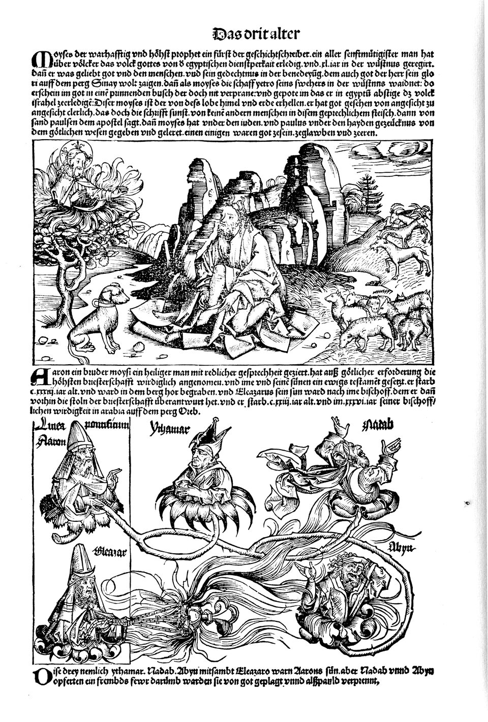 Schedelsche Weltchronik Blatt 30, linke Seite